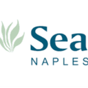 Sea Salt profile picture