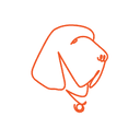 il Bracco profile picture