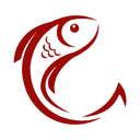 KamiKoi Sushi Fusion profile picture