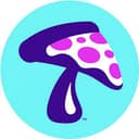 Mellow Mushroom Clearwater profile picture