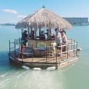 Tipsy Tiki Bar profile picture