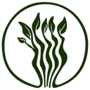 GREEN ZEBRA CAFE profile picture