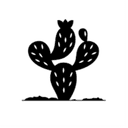 Nopal profile picture
