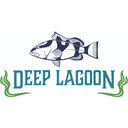 Deep Lagoon profile picture