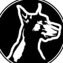 Stray Dog profile picture